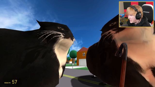 MAXWELL THE CAT is cursed... HELP!