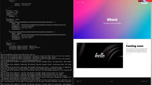 Common Commands in Docker | Hivelocity