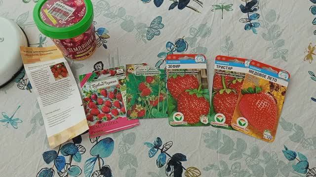 Рассада клубники и земляники