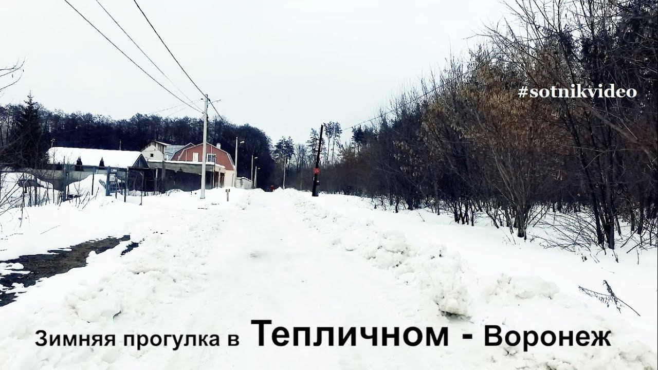 Минута зимней прогулки #воронеж #тепличный #источник #instavideo