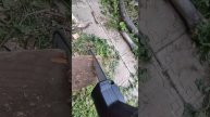 Аккумуляторная цепная пила 8" Violeworks. Пилим доску 50мм