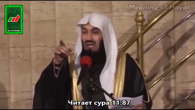 Истории Пророков 24 из 29 _ Шуайб (мир ему) _ Муфтий Менк