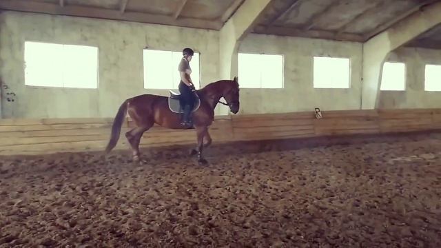 Тренеровка без тренера:) "выездка"