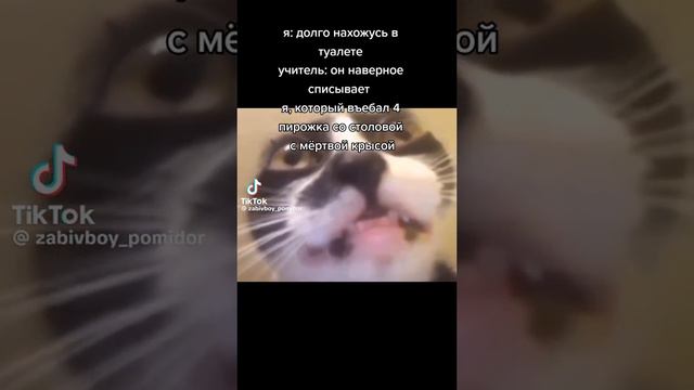 بحعلحلجهلجهلحهبعقعامؤماسهايخغيكتبكتبحعياميحعيحعيخغؤكزلنؤنايهفي