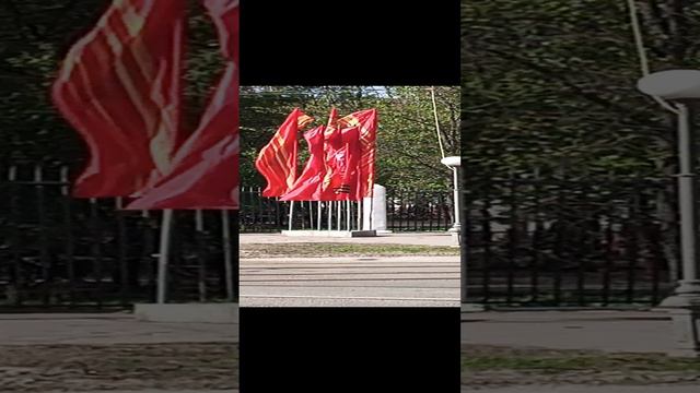 Установка флагов у парка