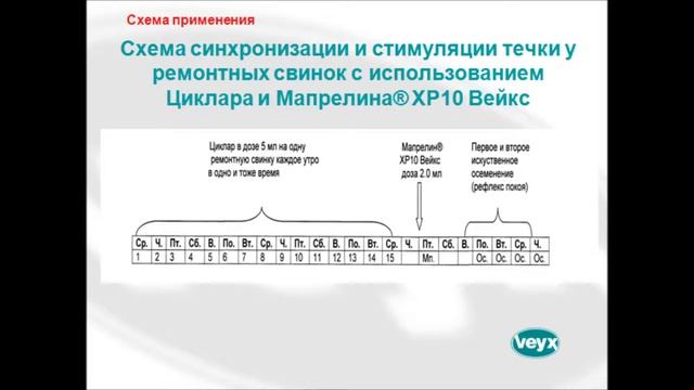 Презентация методов регулирования половой функци свиней