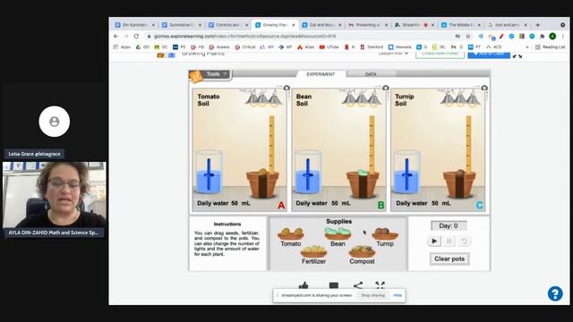 Using simulations to develop deep understanding in Math and Science