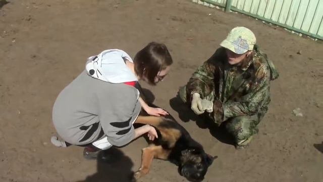 Поездка в Кожуховский приют