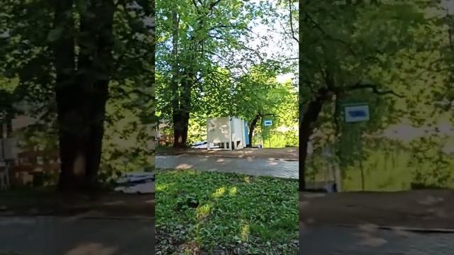 Утренний грохот и вонь поливалок в Воронцовском парке.