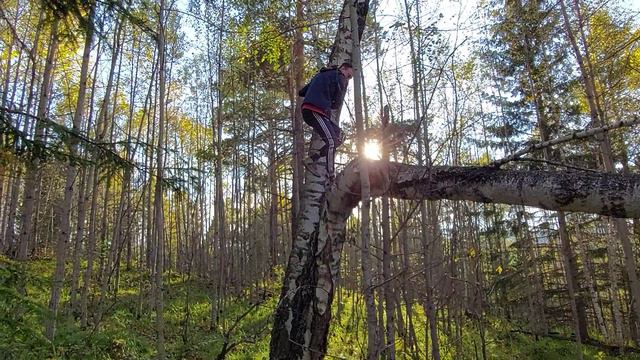 Прогулка по осеннему лесу.