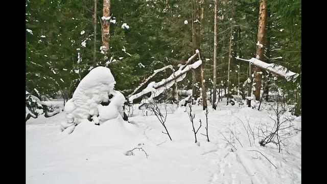 Снежные скульптуры в лесу, похожие на людей.