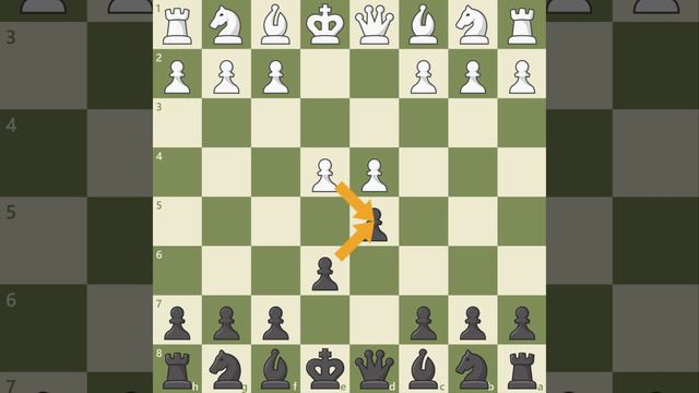 49. Введение в 1.e4 - дебют за черных (1...e6, 1...c6 и 1...d5)
