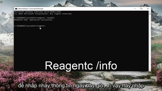 Không thể tìm thấy Môi trường khôi phục trong Windows 10/11