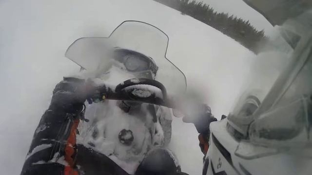 Polaris 60 IQ 2008