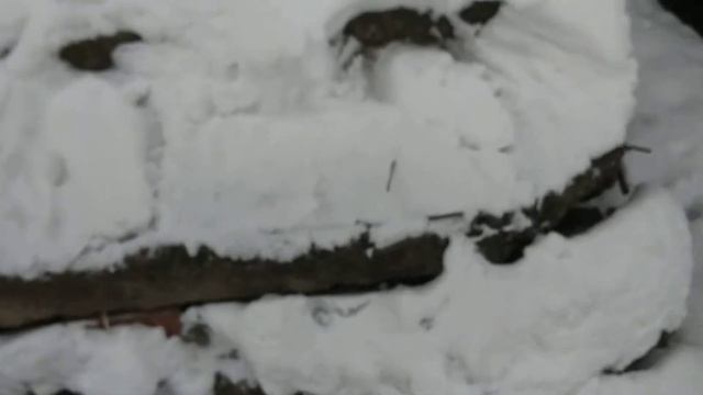 ГДЕ ПАМЯТНИК?РОЗЫСК ПОЛОВОГО ОРГАНА НЕАНДЕРТАЛЬЦА!