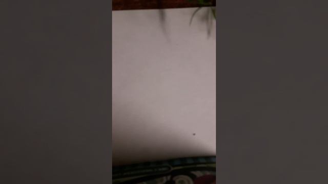Делаем накладные ногти из бумаги . Продолжение в следующем  видео