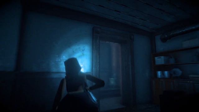 Rise of The Tomb Raider 20th Year Celebration: Lara's Nightmare (DLC)  (Xbox Series S)