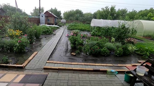 Сильный ливень 19 июля 2024 года, Барнаул. Новые Зори, мой участок.