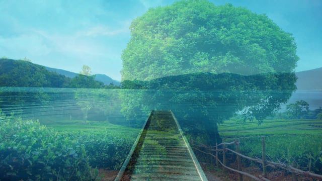 Ho'oponopono Focus Music sample