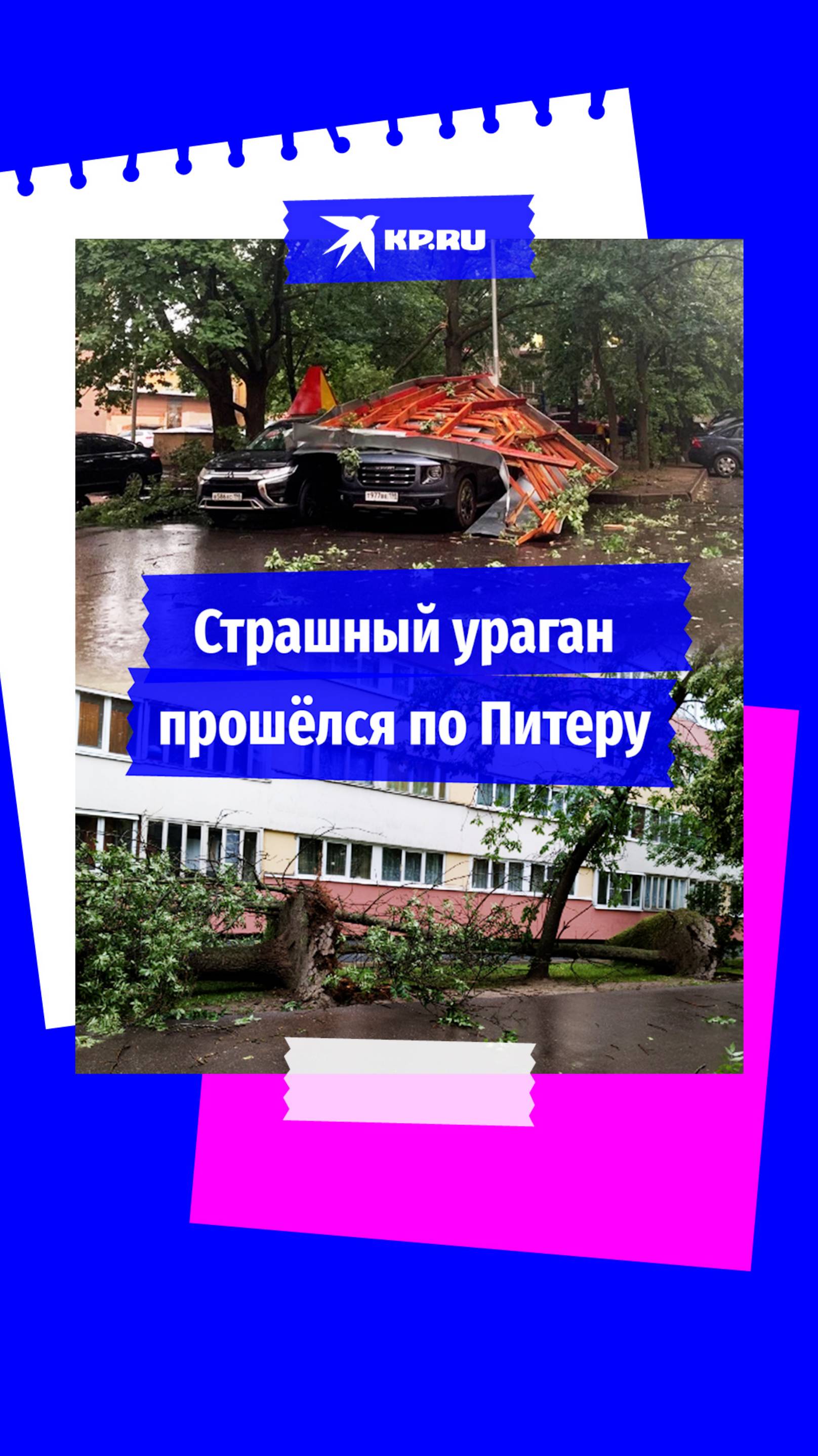 Ураган в Санкт-Петербурге валил деревья  и башенные краны