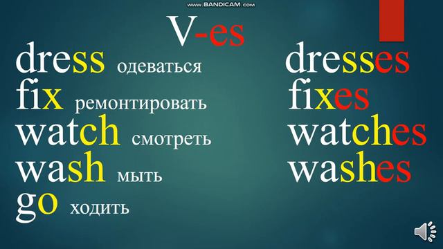 Present Simple 2. Positive sentences.