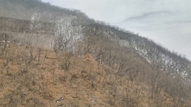 Канатка