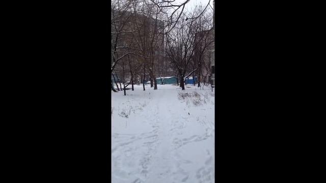Зима в Донецке 2014