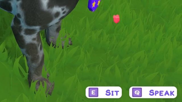 Adopting More Dogs On Puppy Island