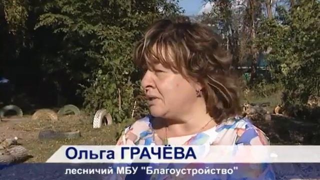 Металл против дерева...