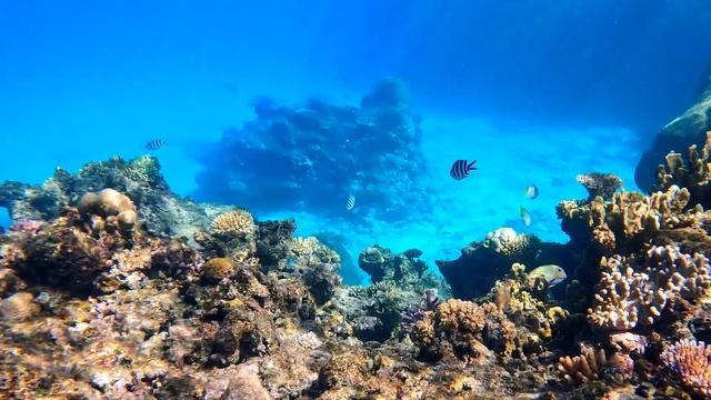 6 Days in Fiji  Tokoriki Island  Denarau 4K