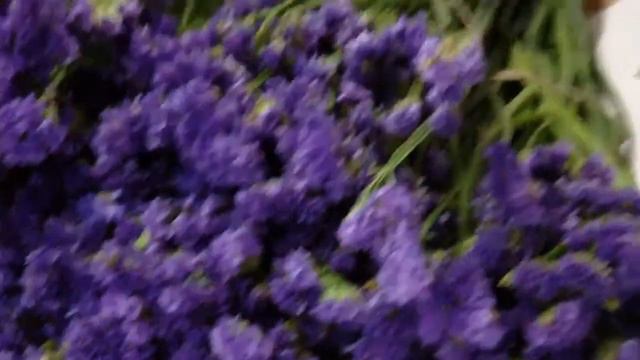 How To Prepare Purple Tissue Statice - lwflowers.com