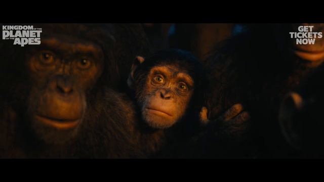 Ролик из приключенческой ленты Планета обезьян: Новое царство Kingdom of the Planet of the Apes