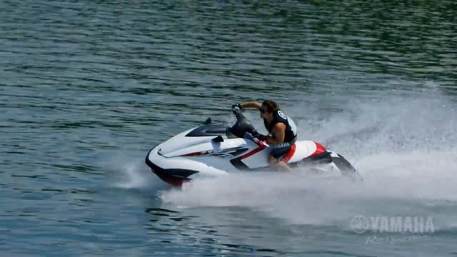 2016 Yamaha FZR & FZS SVHO