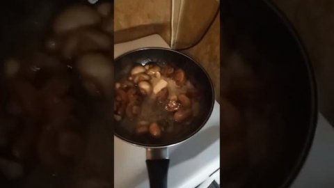 Жареные шампиньоны с чесночком!!! ???