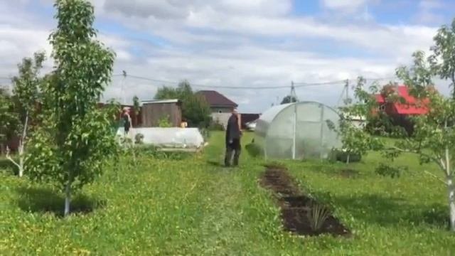 Маринино 21 05 2016