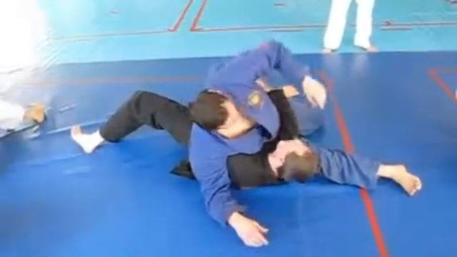 Семинар джиу джитсу дзю дзюцу 19/27