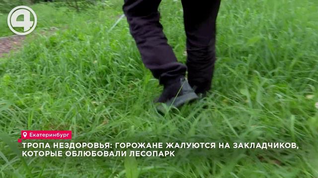 Тропа НЕздоровья: горожане жалуются на закладчиков, которые облюбовали лесопарк