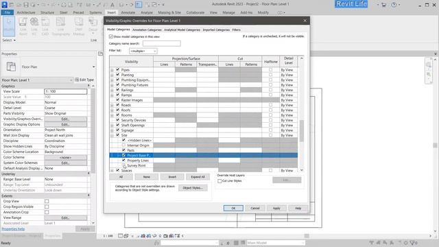 2D to 3D topography using import points file from AutoCad - Revit tutorial