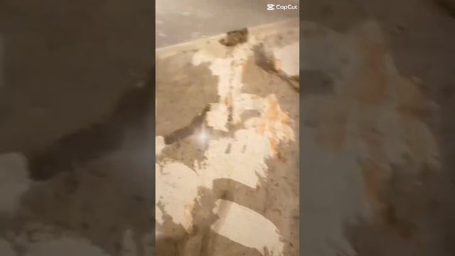 ￼ Выравнивание стен сухой штукатуркой Ромбантом
