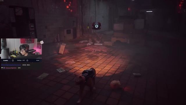a wholesome cat game stray