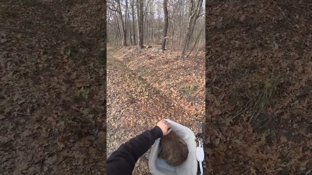 Proof of Concept: Heated Basket v1.0
