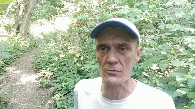 про панк-рок
