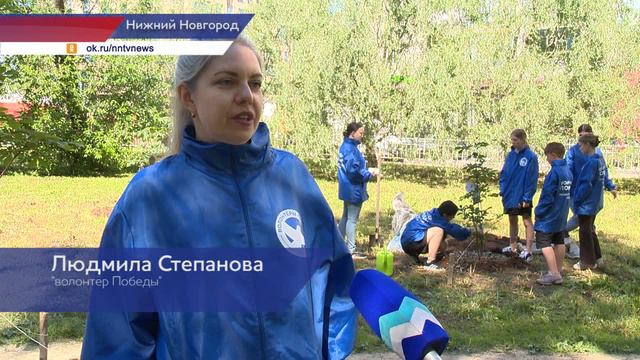 «Волонтёры Победы» посадили каштаны в память о погибших в Великой Отечественной