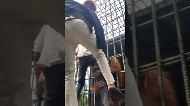 VID_20220608_151422_890.mp4