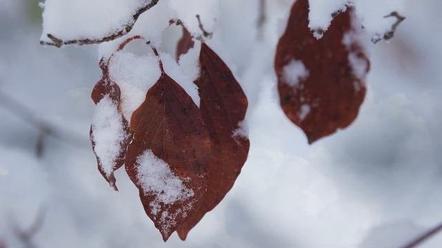 27 февраля народный праздник Кирилл Указчик. Народные запреты, приметы, традиции и обряды.