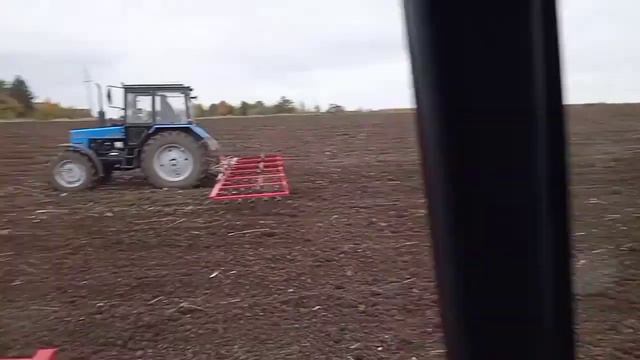 Посів озимої пшениці 2023