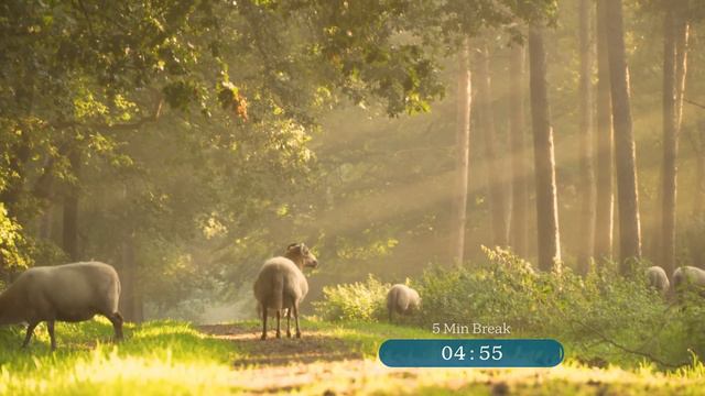 5-Hour Study with Me  Pomodoro Timer Lofi Relaxing Music  Day 78