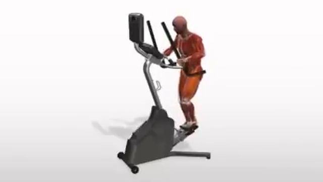 Bodybuilding Übungen- Stepper   -  www.Hilfe-Forum.eu