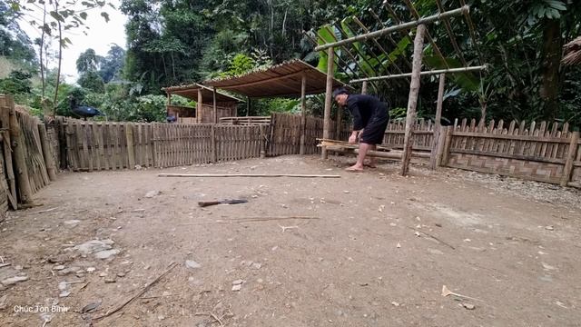 OFF GRID LIVING: How to get firewood in the forest. & firewood house