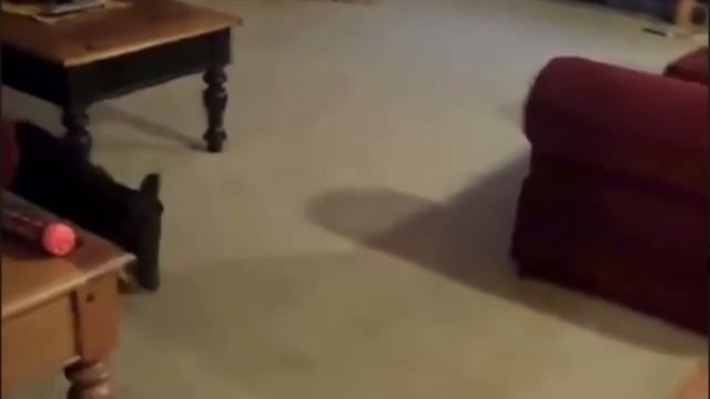 На дачу
